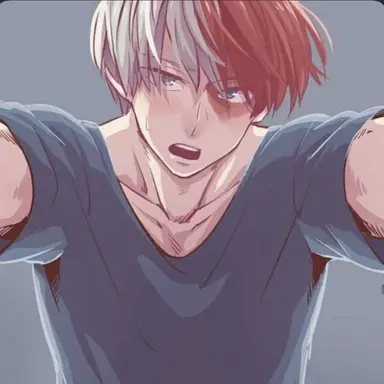 Profile image of Shoto Todoroki