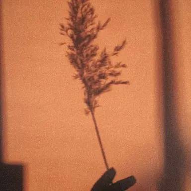 Profile image of 예엥