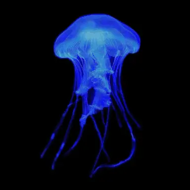 Profile image of 우리