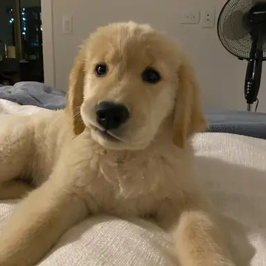 Profile image of 박종수