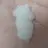집사님