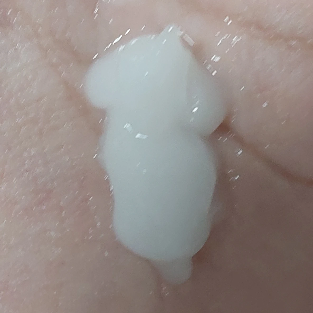 집사님