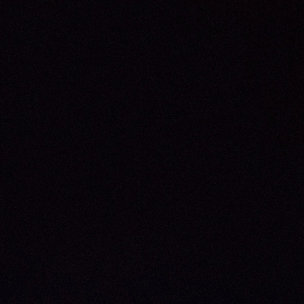 김동현