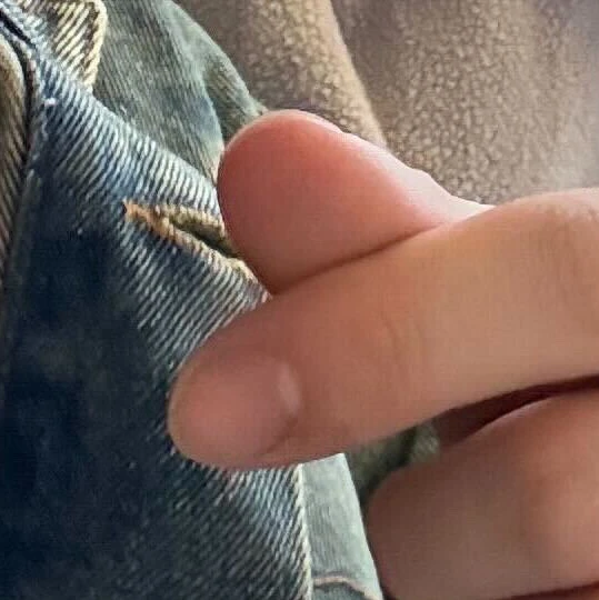 김동현