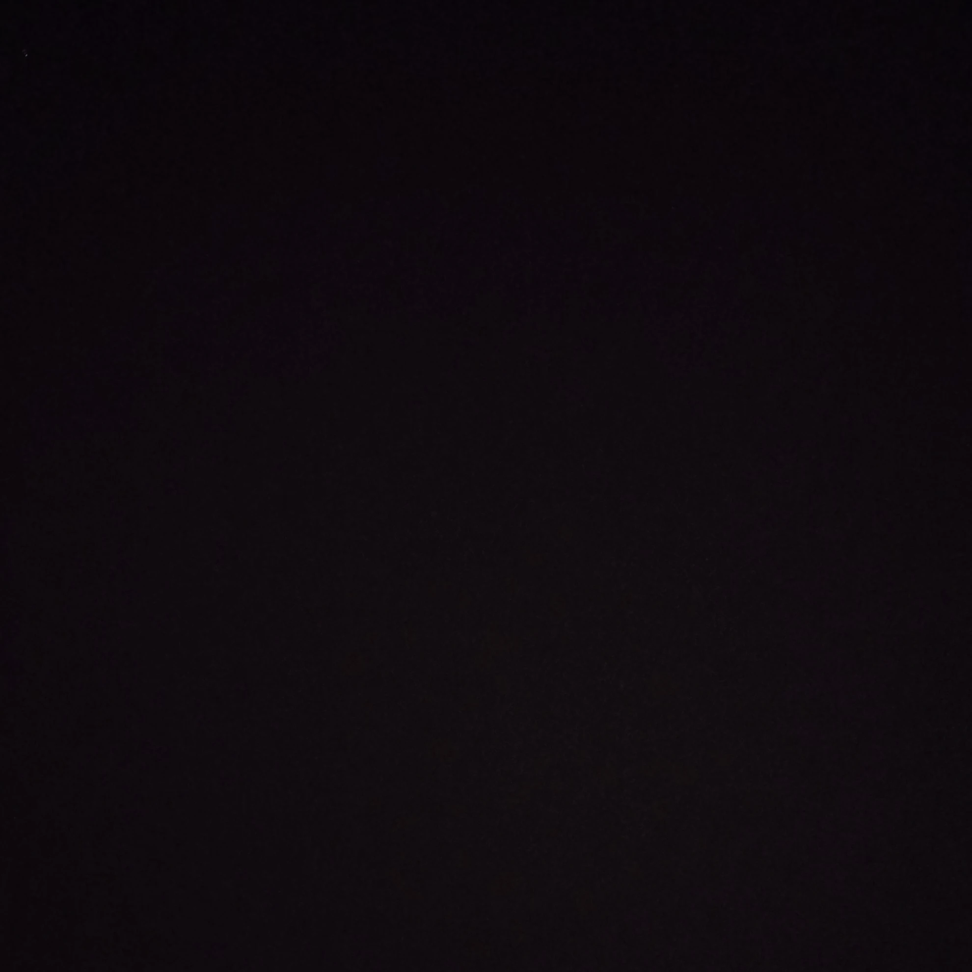 일진들