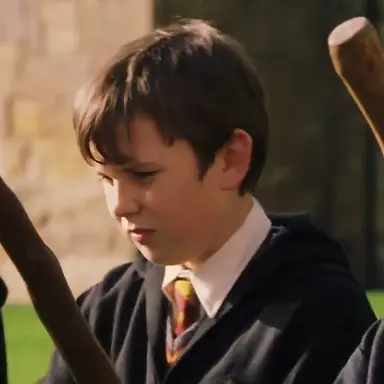 Profile image of Neville Longbottom