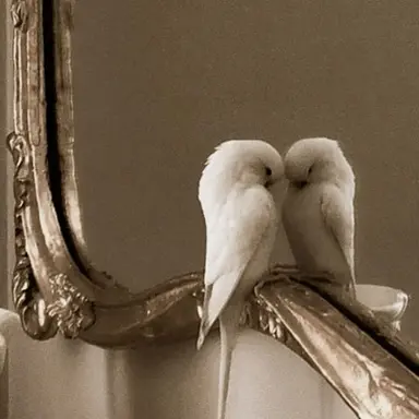 Profile image of 아르델