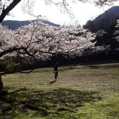 Profile image of キャラクター