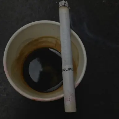 Profile image of 로얄44