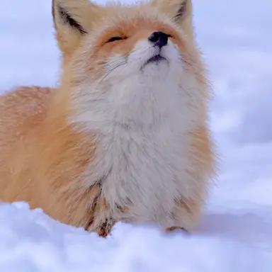 Profile image of うぉぬ