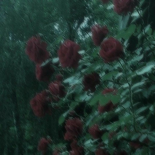 연
