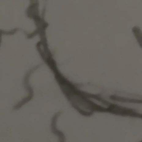 페어리루