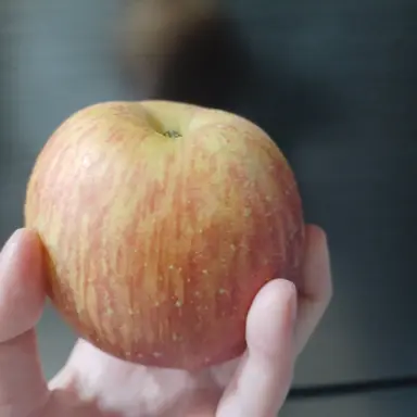 Profile image of 김수민