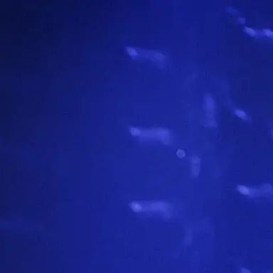 Profile image of 이우빈