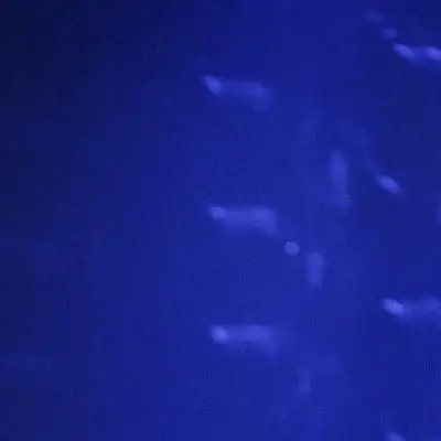 FairBasil2189의 이우빈