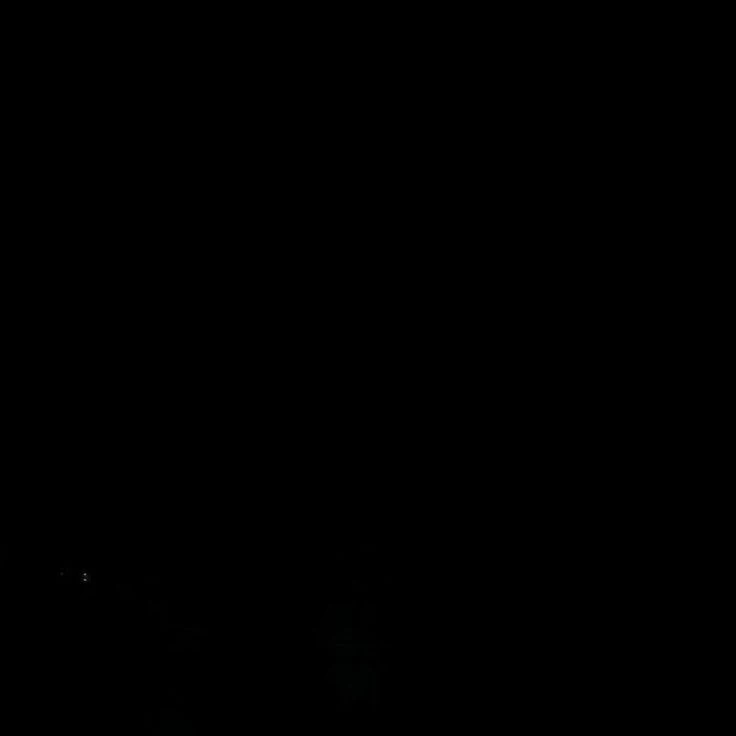 범규