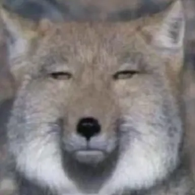 Profile image of 한여우
