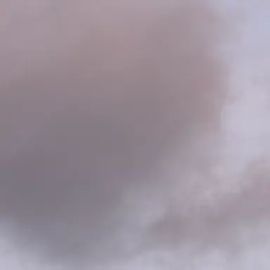 Profile image of 박 민 우