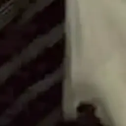 Profile image of 大森 元貴