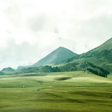 Profile image of 오뉴