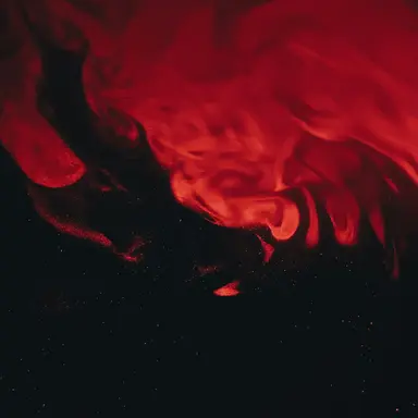 Profile image of 류