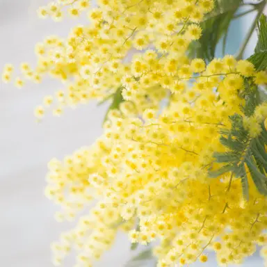 Profile image of 루이쨘