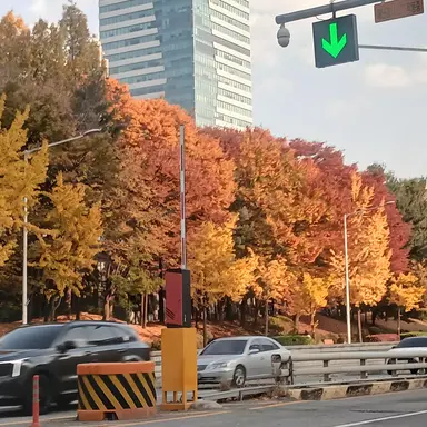 Profile image of 덕개