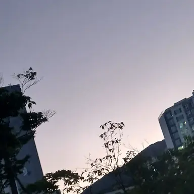 Profile image of 고고프렌즈