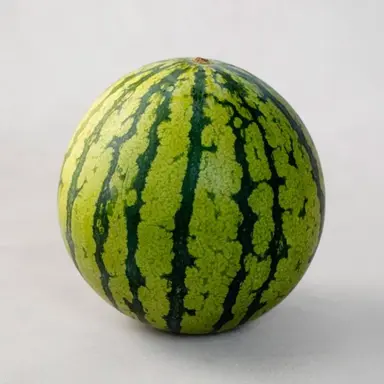 Profile image of 일반 환자