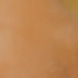 Profile image of 민서
