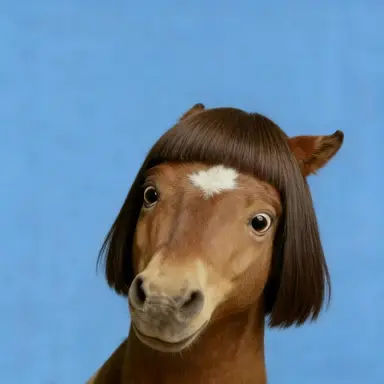 Profile image of 김여우