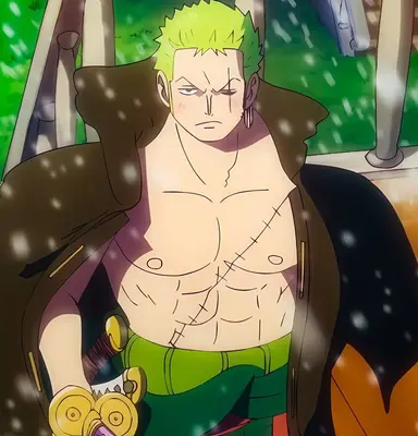 Profile image of Roronoa Zoro