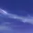 스코시즘(수사반)