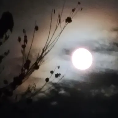 Profile image of 해원