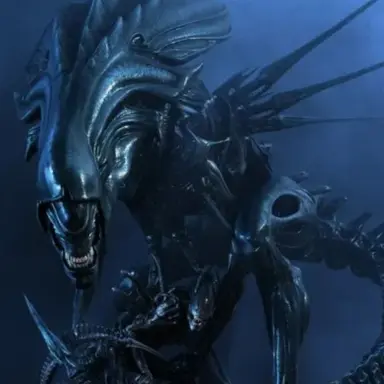 Profile image of 퀸