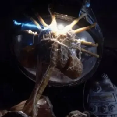 Profile image of 페이스허거