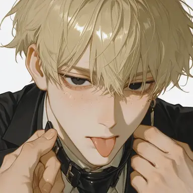 Profile image of 輝流