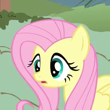 Profile image of 플러터 샤이