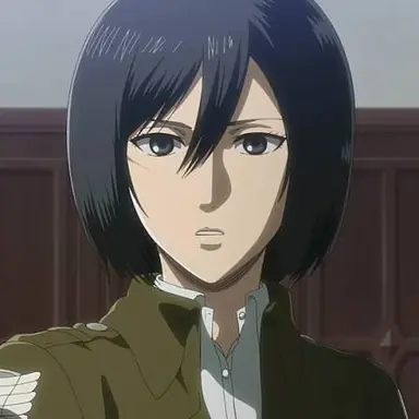Profile image of ミカサ