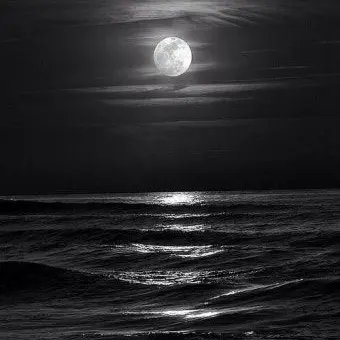 Profile image of 황수현