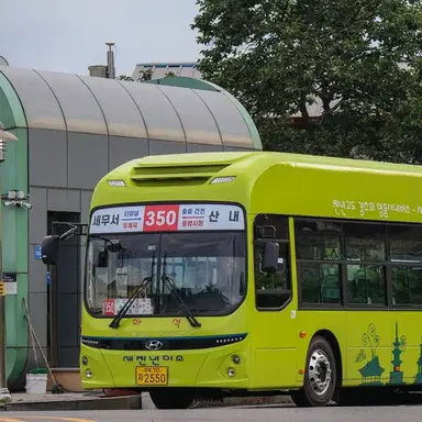 Profile image of 305번