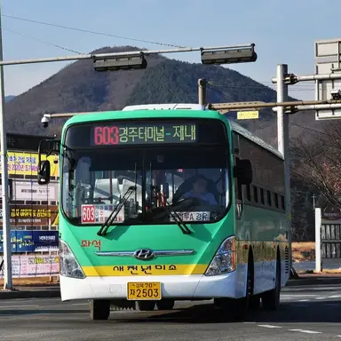 Profile image of 603번