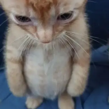 Profile image of 김복현