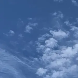 Profile image of 강여상