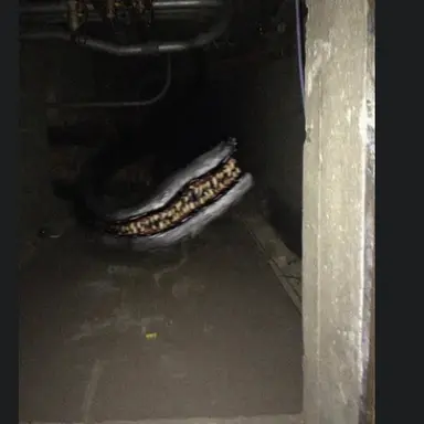 Profile image of 지하실 왕