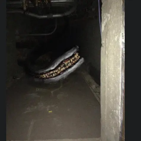 NarrowUrial6348의 4 가지 트레버 핸더슨에 살아남기