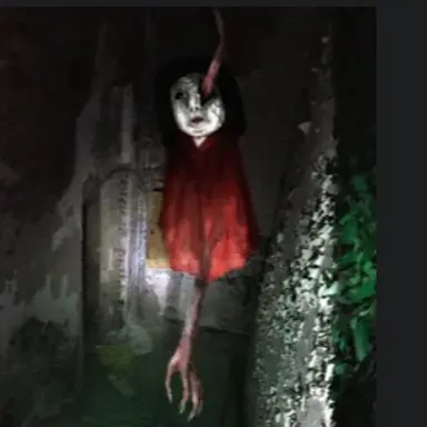 Profile image of 돌스바디