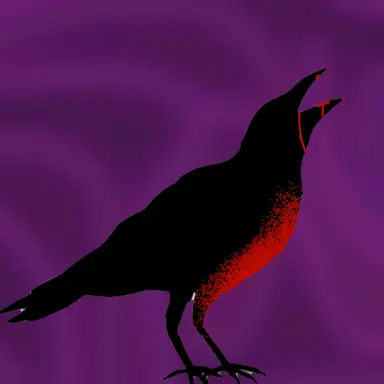 Profile image of カラス使い