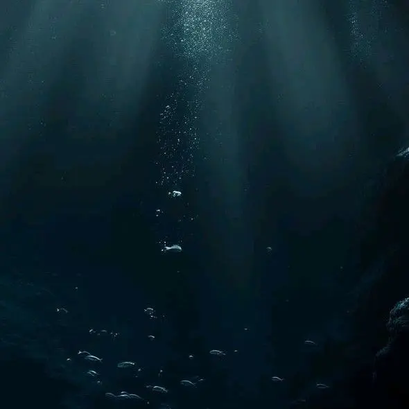 TenderWharf3299의 윤정한