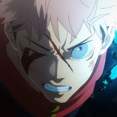 Profile image of 虎杖 悠仁